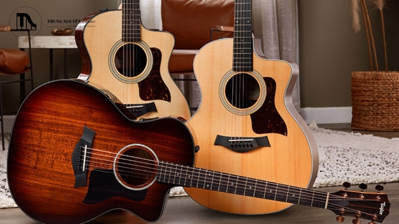 Guitar cho người mới bắt đầu khoảng 2-4 triệu đồng