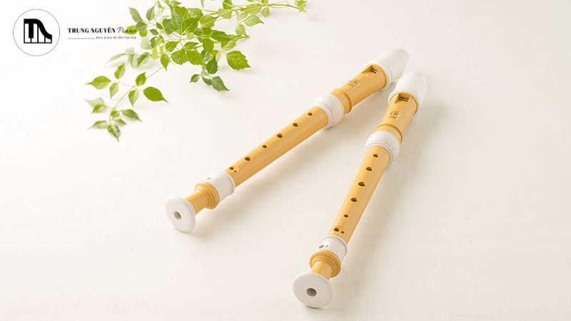Sáo Recorder là bước đệm hoàn hảo để làm quen với kỹ thuật kiểm soát hơi thở