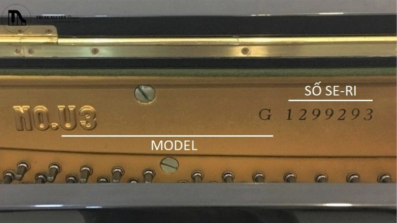 Mã model và số serial trên đàn yamaha