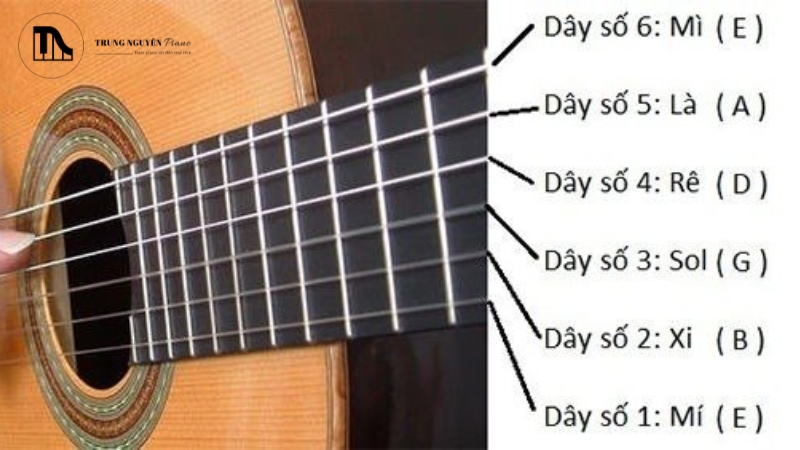 Phím đàn Guitar là gì? A-Z về cấu tạo, vai trò & âm thanh 1 Phím đàn guitar (Fret) là các thanh kim loại được gắn vuông góc với dây đàn trên mặt phím