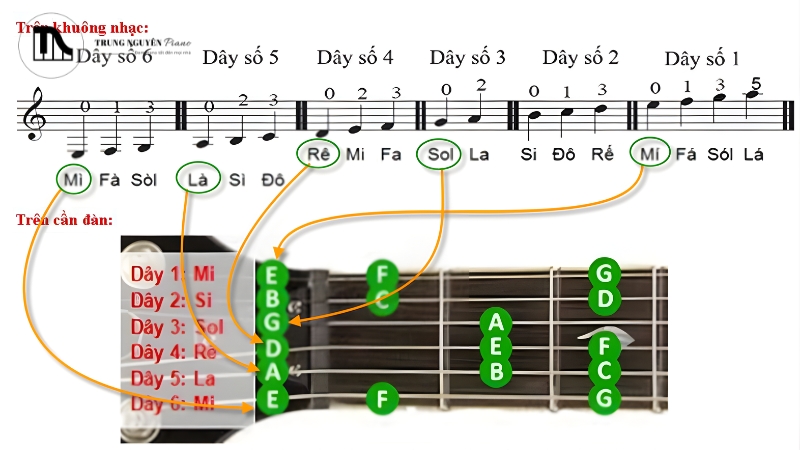 Vị trí các nốt ngũ cung trên cần đàn guitar phím lõm