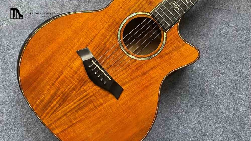 Phím đàn Guitar là gì? A-Z về cấu tạo, vai trò & âm thanh 11 Evo Gold mang màu vàng đồng sang trọng