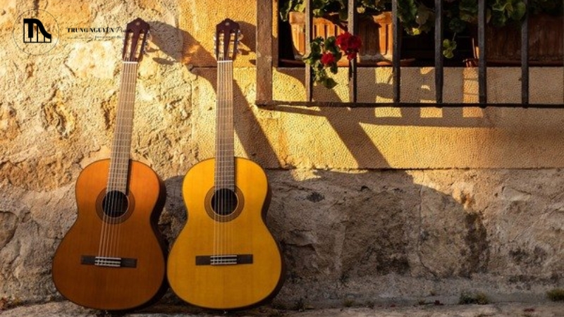 Phím đàn Guitar là gì? A-Z về cấu tạo, vai trò & âm thanh 14 Vệ sinh phím đàn đúng cách