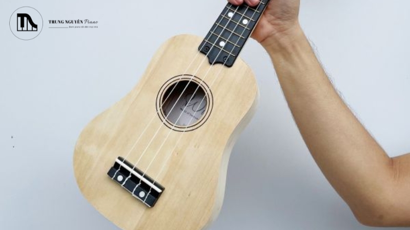 Tiêu chí chọn mua phụ kiện Ukulele tổng thể