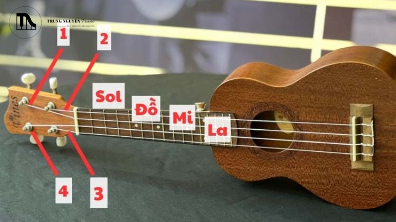 Dây đàn ảnh hưởng trực tiếp đến âm sắc và cảm giác khi chơi