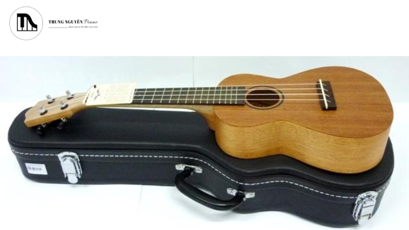 Bao đàn là bảo vệ nhạc cụ khỏi bụi, ẩm và va đập