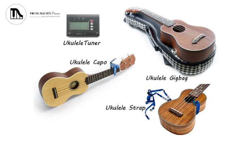 Phụ kiện đàn Ukulele