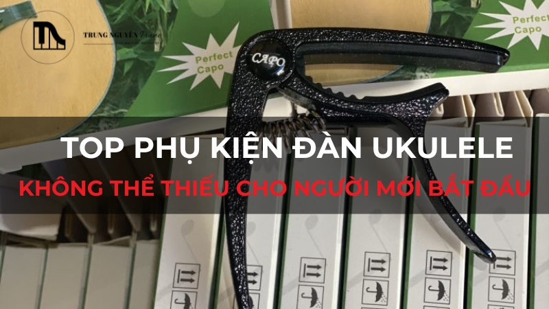 Top phụ kiện đàn ukulele không thể thiếu cho người mới bắt đầu