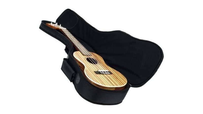 Sử dụng bao đàn giúp bảo vệ Ukulele khỏi va đập và bụi bẩn hiệu quả
