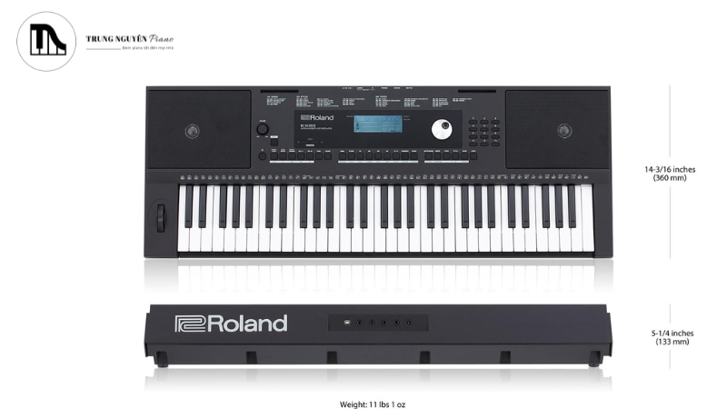 Cho người mới bắt đầu và mục đích học tập/giải trí