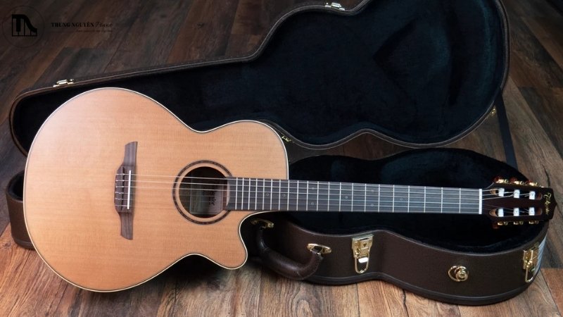Guitar Classic Takamine có mấy loại, có tốt không? Review chi tiết 5 So sánh guitar Takamine với các thương hiệu khác