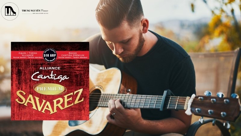 So sánh Savarez Cantiga Alliance với các hãng khác