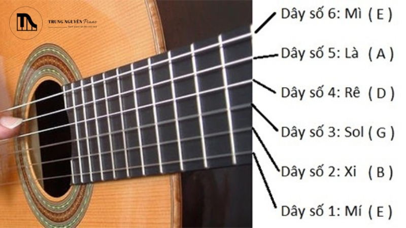 Thứ tự chuẩn của 6 dây đàn guitar và nốt nhạc