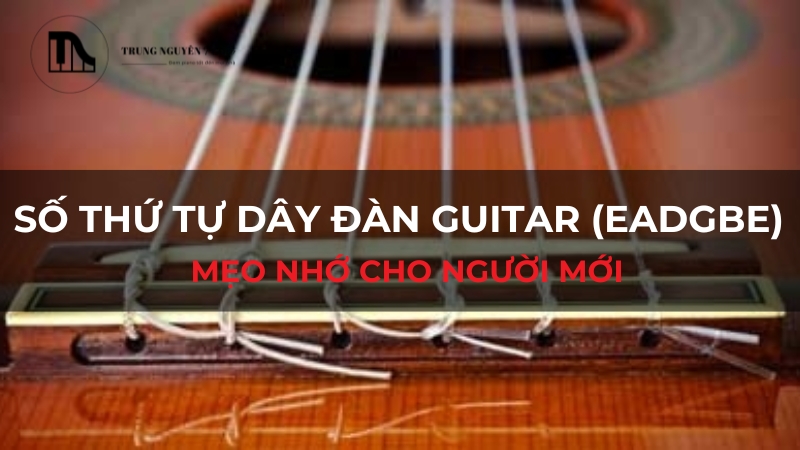 Số thứ tự dây đàn Guitar (EADGBE): Mẹo nhớ cho người mới