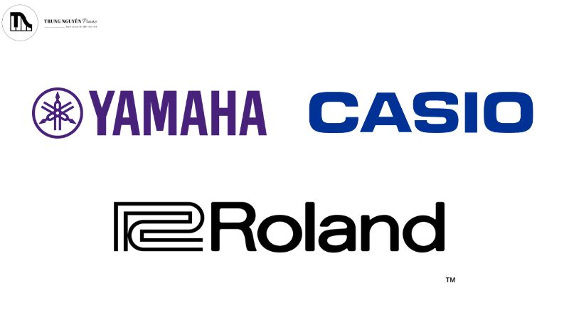 Sự khác biệt giữa Piano & Organ Keyboard: Chọn đàn nào đúng? 5 Ba thương hiệu organ nổi tiếng Yamaha, Roland và Casio