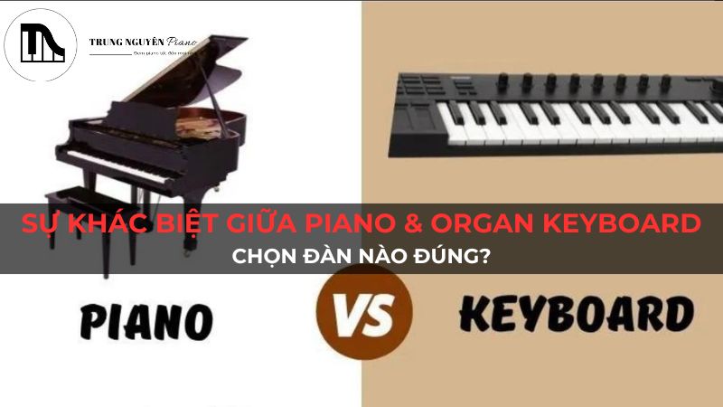 Sự khác biệt giữa Piano và Organ Keyboard: Chọn đàn nào đúng?