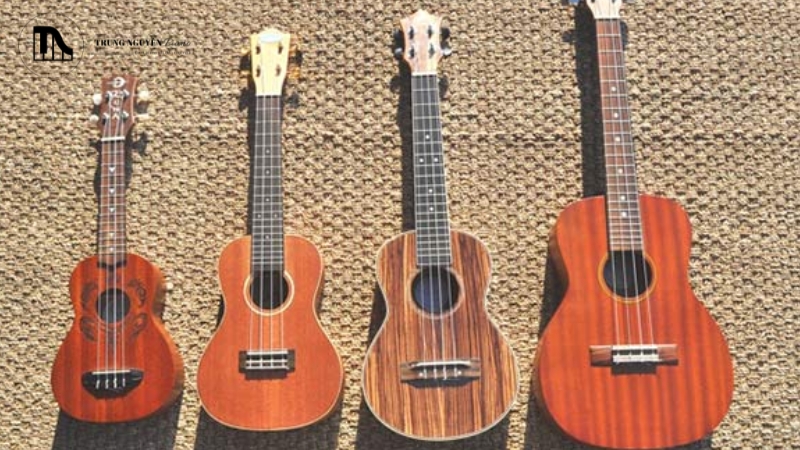 Dòng đàn Ukulele Soprano, Concert, Tenor