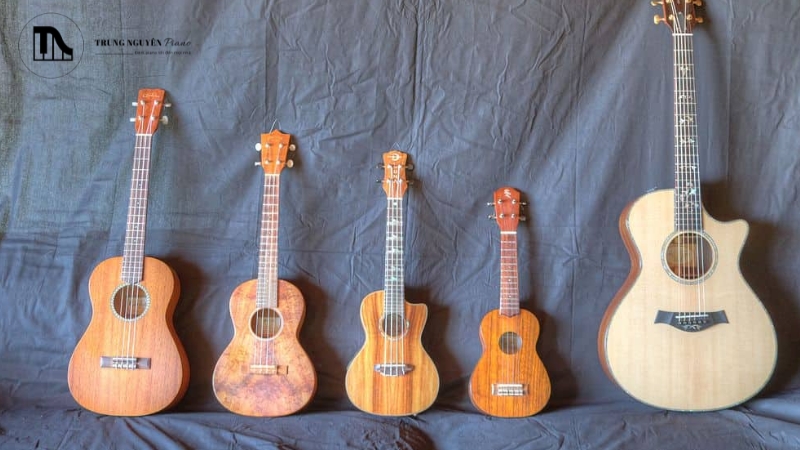 Thắc mắc thường gặp về Ukulele và Guitar
