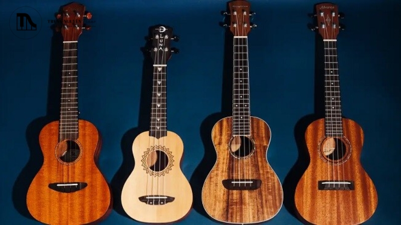 Kiểm tra tổng thể đàn xem có vết nứt hay trầy xước không.