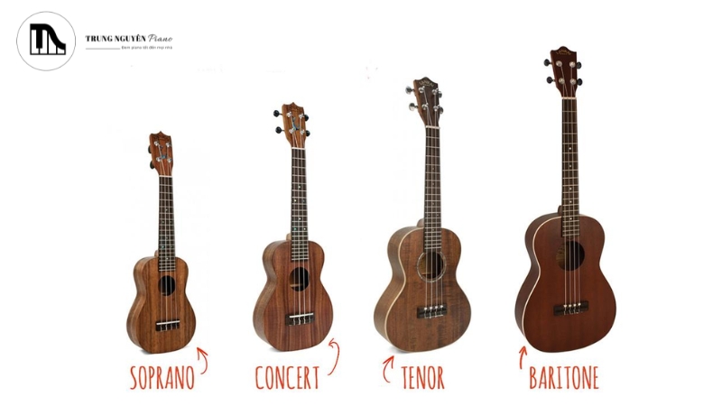 Ukulele có 4 kích thước chính, âm thanh sẽ trầm và lớn dần theo kích thước