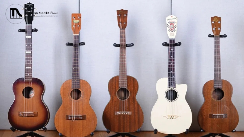 Lựa chọn Ukulele hay Guitar dựa trên độ tuổi và thể trạng