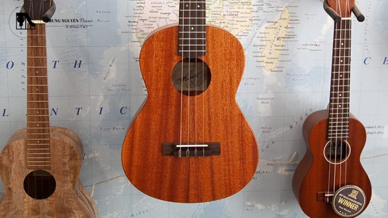 Kỹ thuật chơi và hợp âm của Ukulele và Guitar   