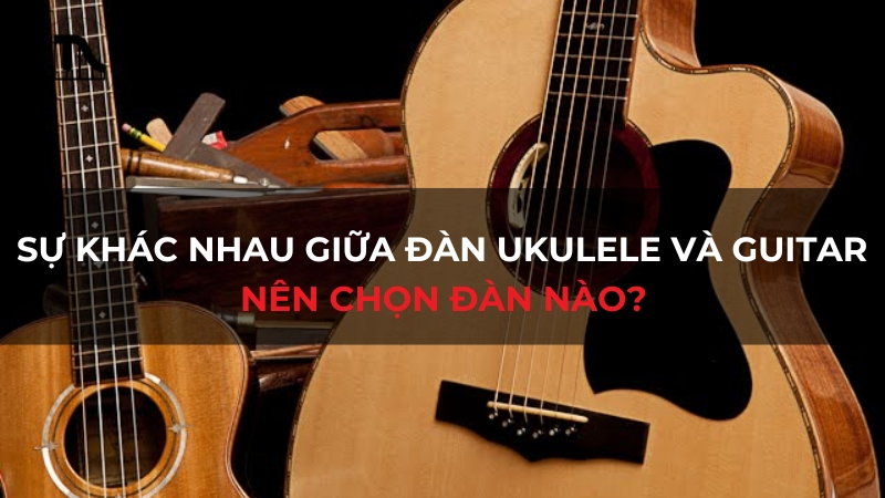 Sự khác nhau giữa đàn Ukulele và Guitar: Nên chọn đàn nào?