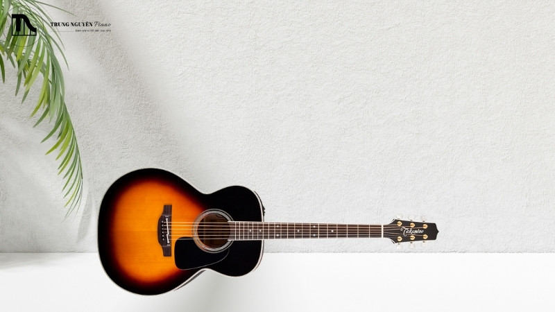 Guitar Classic Takamine có mấy loại, có tốt không? Review chi tiết 3 Takamine Pro Series Classic