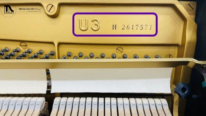 Vì sao nên biết đọc mã đàn yamaha