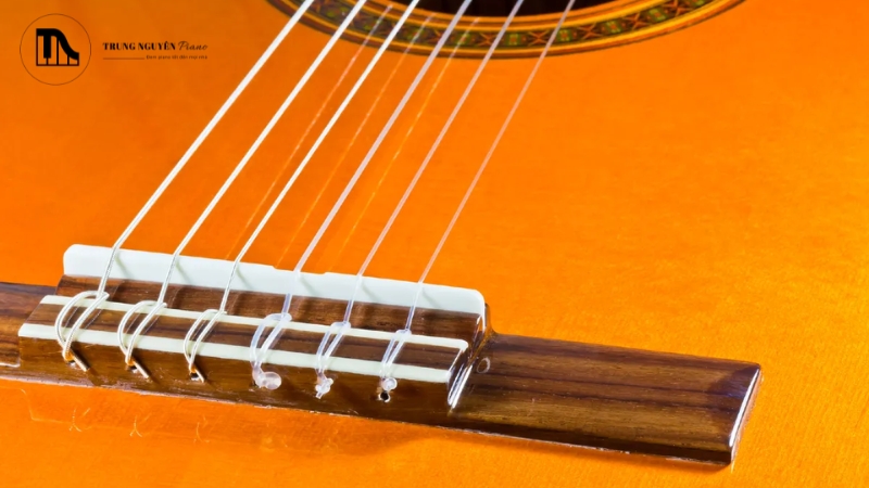 Lắp đặt ngựa đàn mới và dây đàn