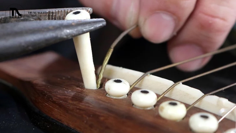 Chuẩn bị dụng cụ và lựa chọn ngựa đàn mới