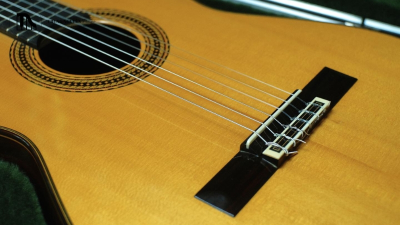 Những lưu ý quan trọng khi thay ngựa đàn