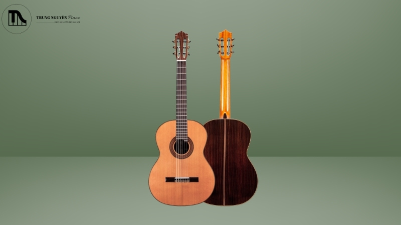 Cấu tạo và thiết kế của Guitar Martinez Classic