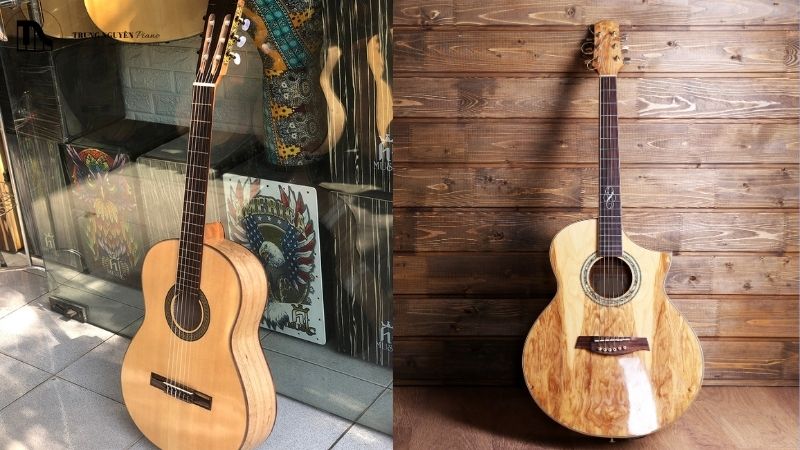 Giới thiệu Guitar Classic và Acoustic