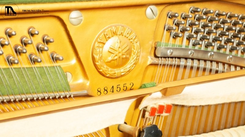 Ứng dụng khi hiểu mã đàn và số serial