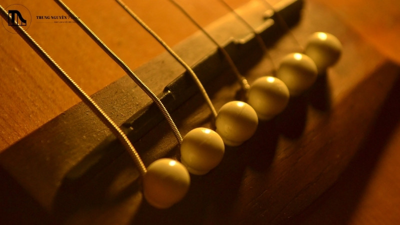 Ngựa đàn Guitar là gì? Vai trò quyết định âm thanh và cảm giác chơi 2 Tầm quan trọng của ngựa đàn guitar
