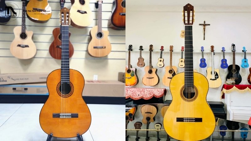 So sánh guitar Yamaha và Cordoba: Đa năng hay Cổ điển chuyên sâu? 1 Guitar Yamaha
