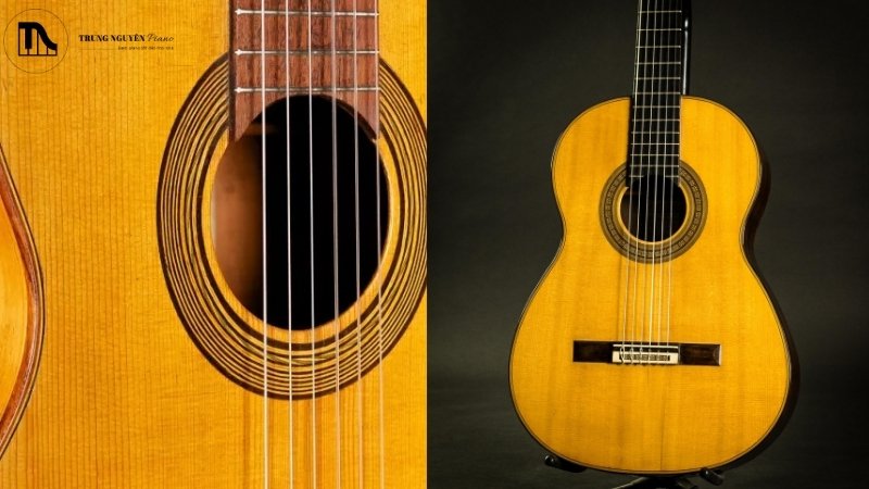 Giá trị triệu đô của đàn guitar Classic 
