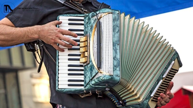 Phân biệt các loại đàn Accordion