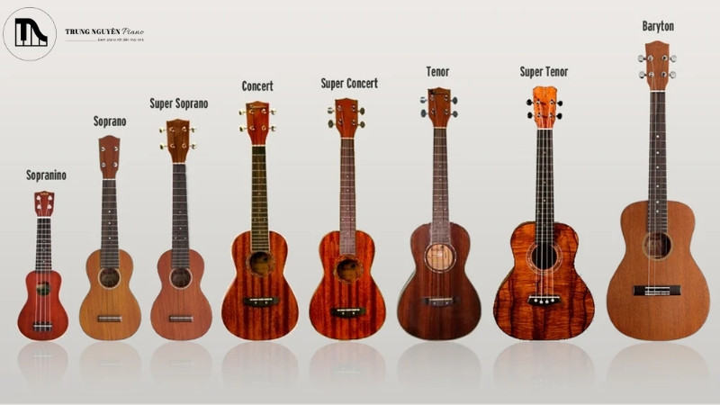 Hướng dẫn chọn Ukulele cho người mới: Các loại và 5 tiêu chí 3 Các loại đàn ukulele phổ biến