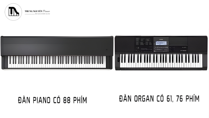Các loại nhạc cụ phổ biến nhất & Hướng dẫn chọn loại phù hợp 6 Đàn Organ và Keyboard thế giới âm thanh đa dạng