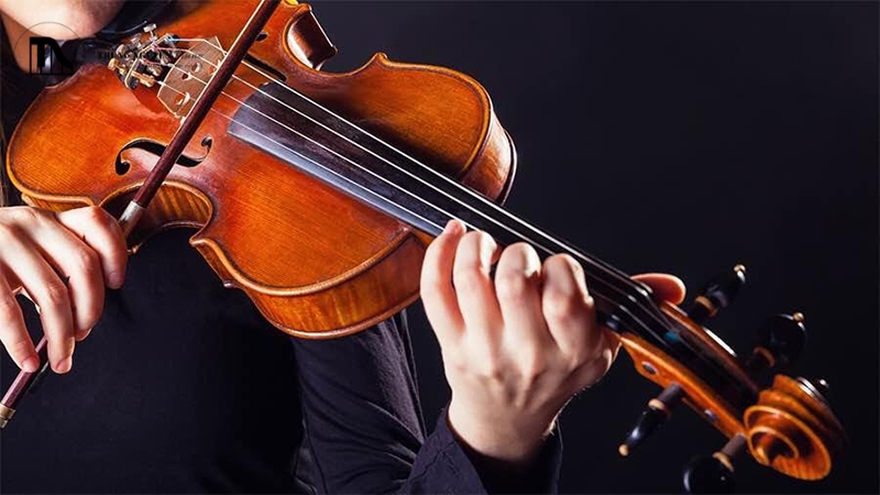 Các loại nhạc cụ phổ biến nhất & Hướng dẫn chọn loại phù hợp 8 Đàn violin sở hữu âm thanh du dương, trong trẻo và khả năng biểu cảm tinh tế