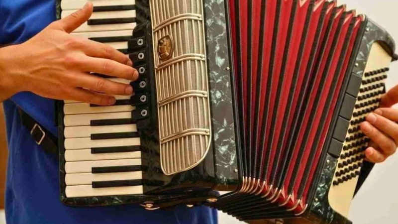 Cấu tạo ống thổi đàn Accordion - lá phổi tạo ra âm thanh