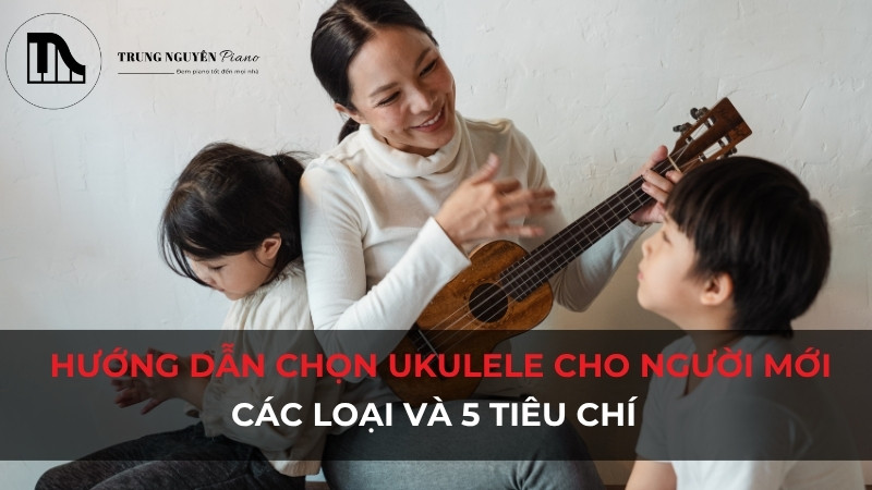 Cách chọn đàn Ukulele cho người mới: Các loại và 5 tiêu chí