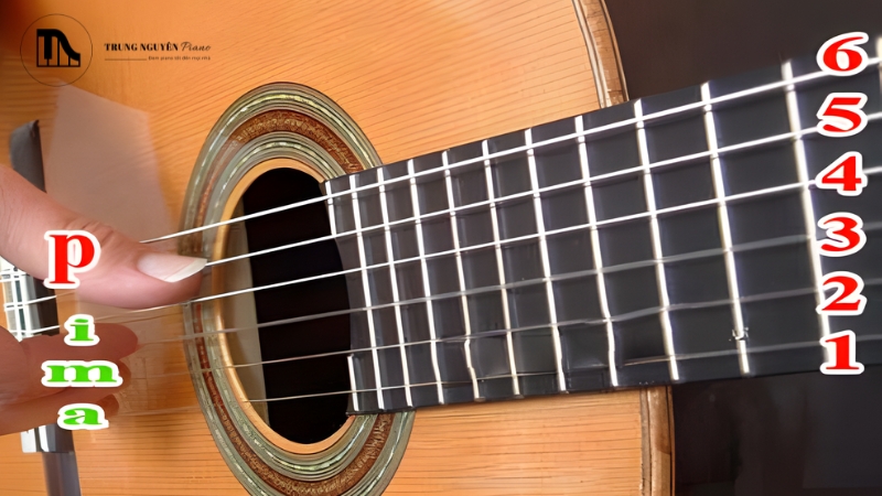 Cận cảnh cần đàn guitar, các dây được đánh số từ 1 đến 6 và ghi tên nốt tương ứng
