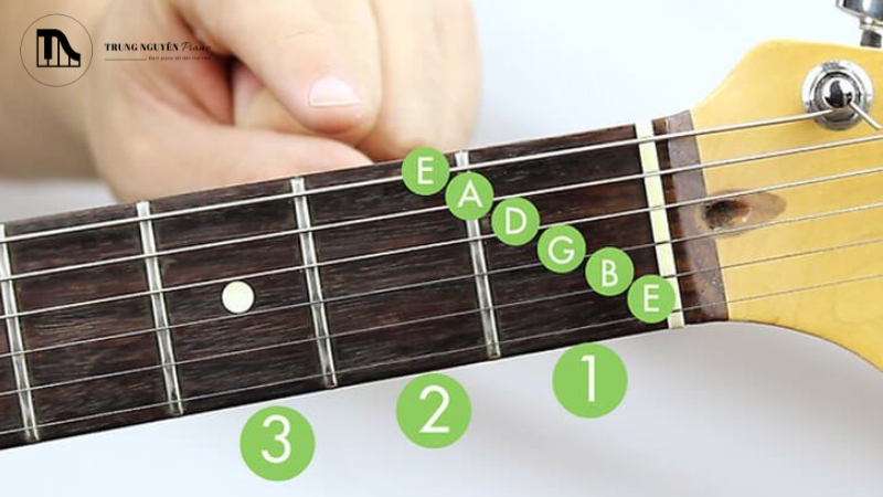 Hướng dẫn chi tiết các hợp âm guitar dễ bấm