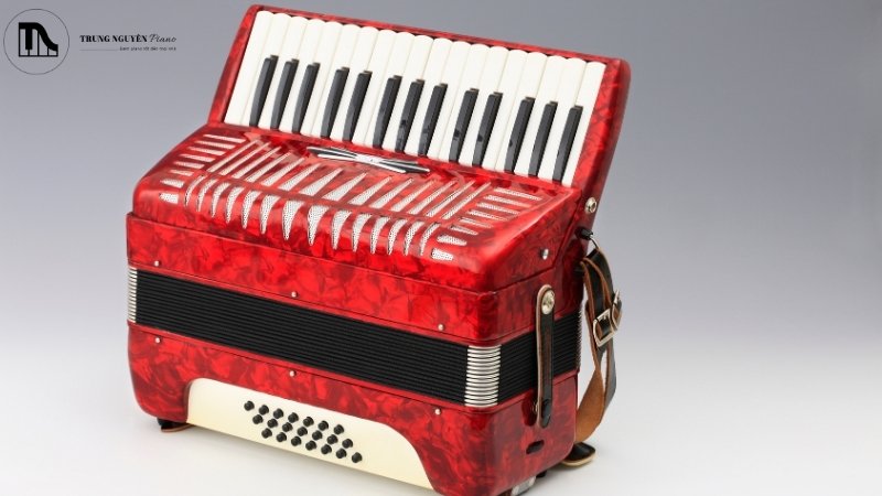 Cấu tạo của đàn Accordion