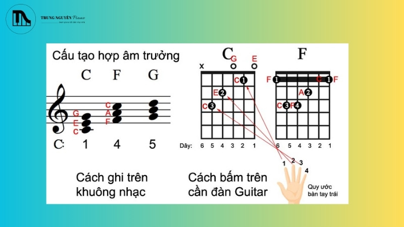 Cấu trúc hợp âm cơ bản