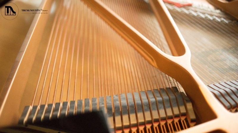 Cấu trúc quấn dây và lớp phủ bề mặt