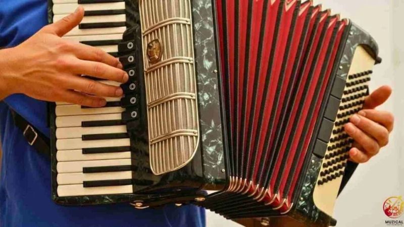 Cơ chế hoạt động của hộp gió bellows tạo luồng khí rung lưỡi gà Đàn Accordion